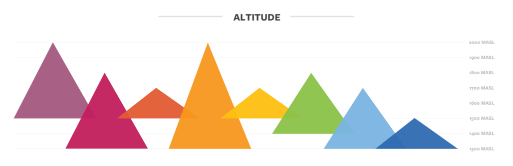 Altitude  details for coffee in Guatemala