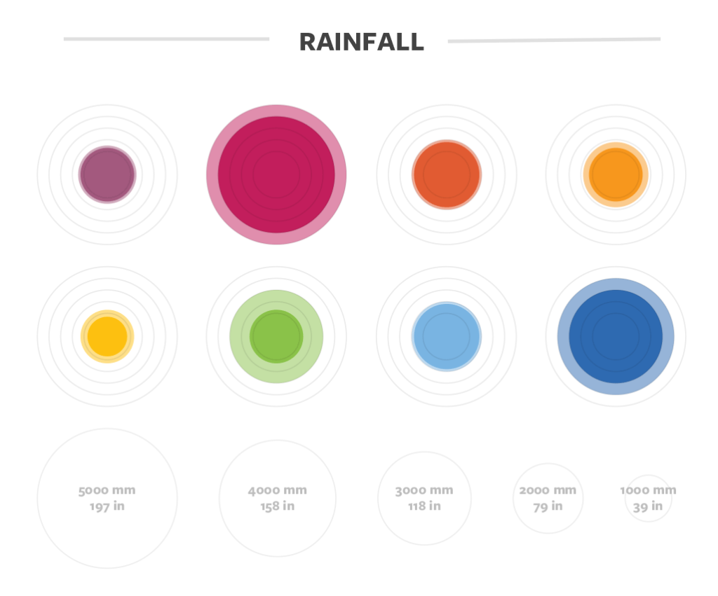 Rainfall details for coffee in Guatemala