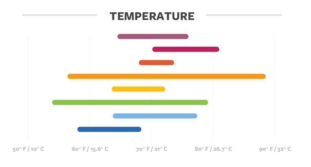 Temperature details for coffee in Guatemala