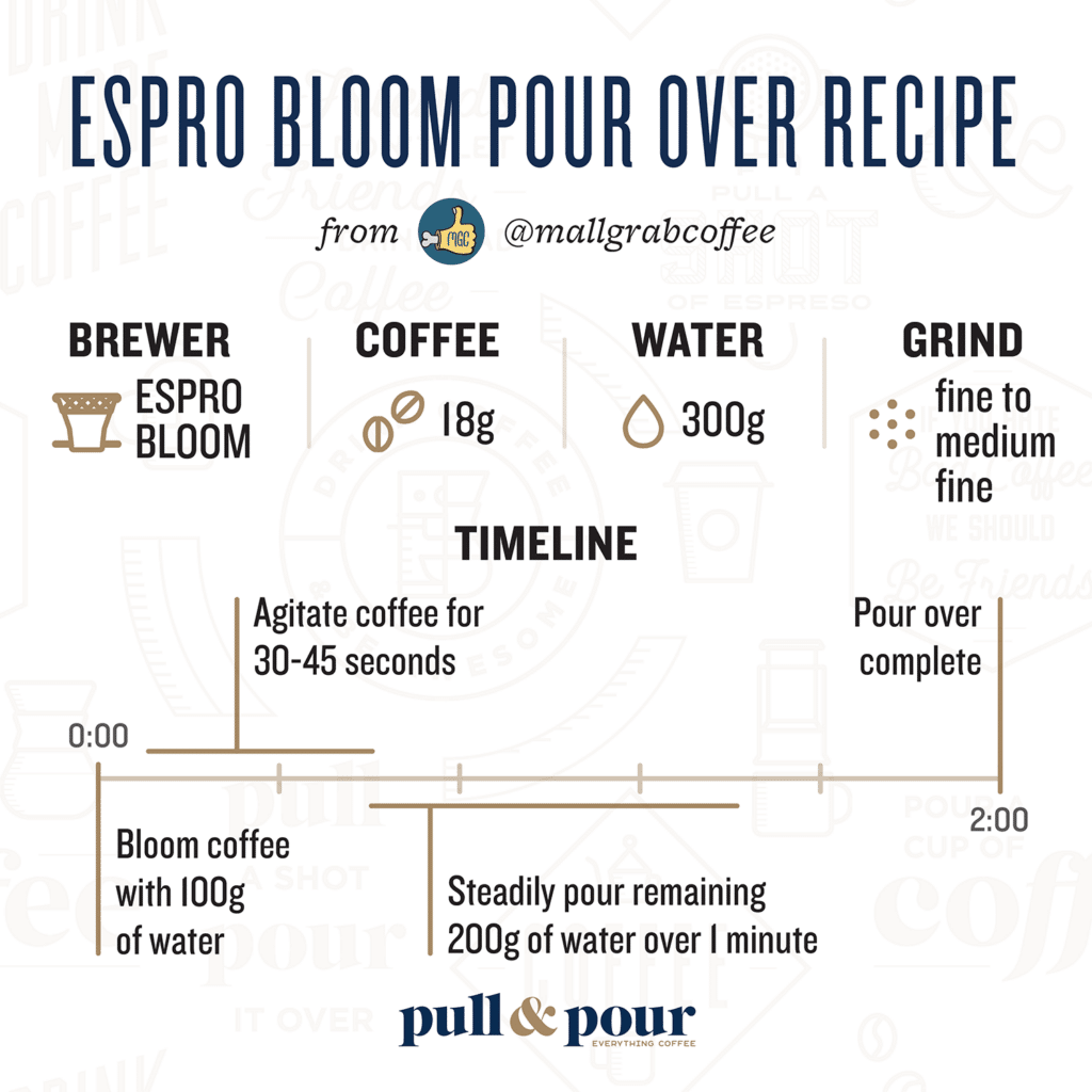 Guide: Making Iced Coffee With The Bloom Pour Over Coffee Brewer – ESPRO