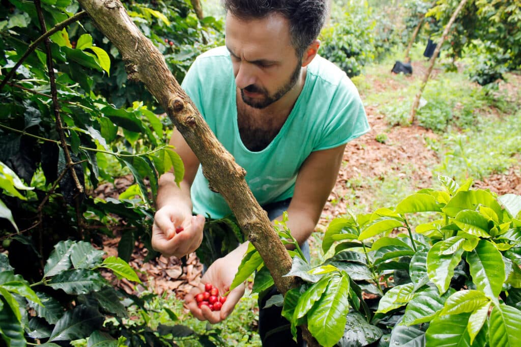 Ivica from Coffea Circulor in Kenya