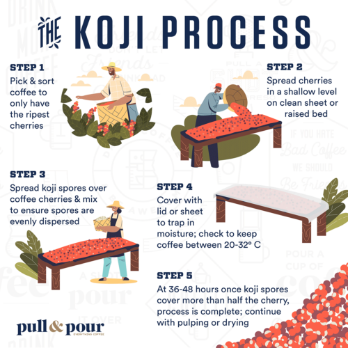 What is the Koji Process?