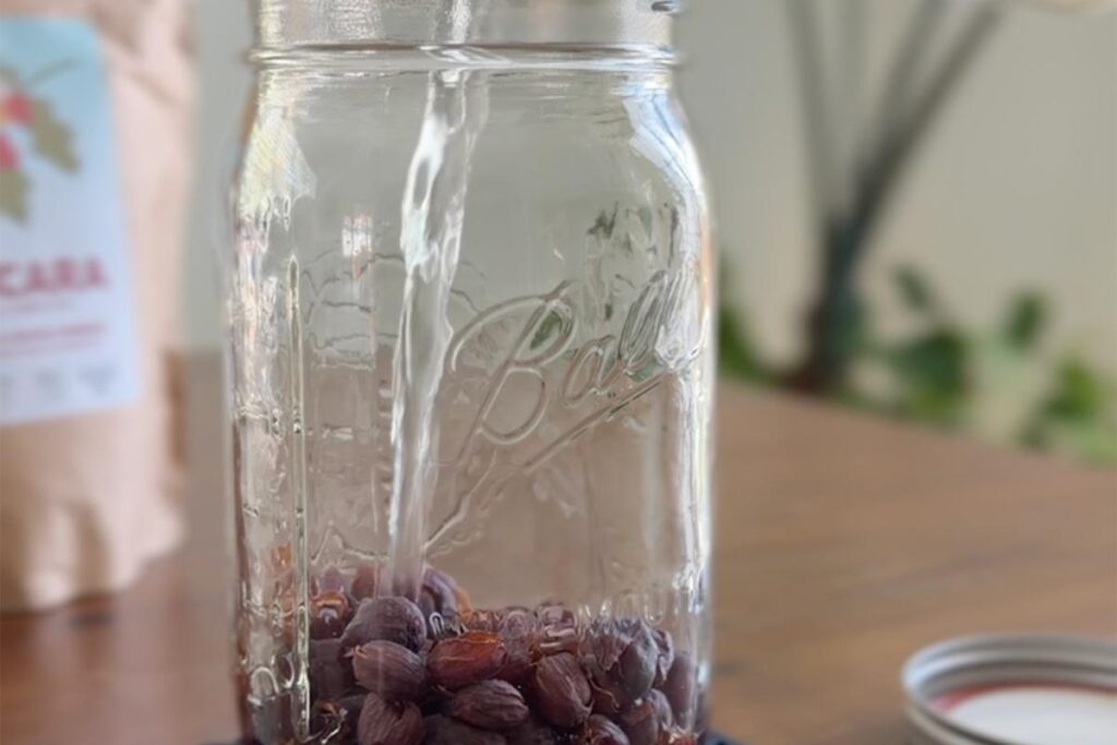 Brewing cascara cold